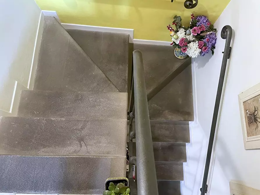 Immagine 23 di Terratetto in vendita  a Camaiore