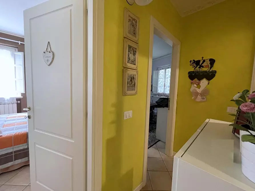 Immagine 12 di Terratetto in vendita  a Camaiore