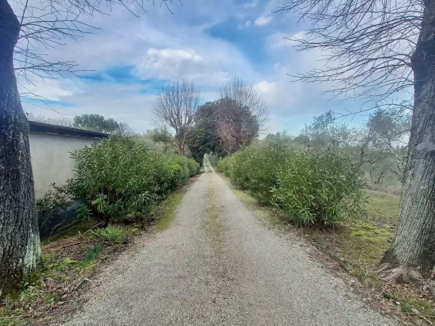 Immagine 36 di Villa in vendita  a Castelfiorentino