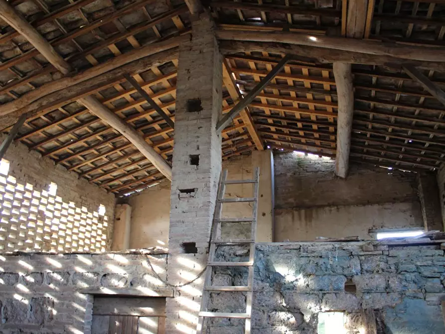 Immagine 50 di Villa in vendita  a Castelfiorentino