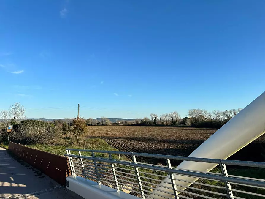 Immagine 13 di Casa colonica in vendita  a Grosseto