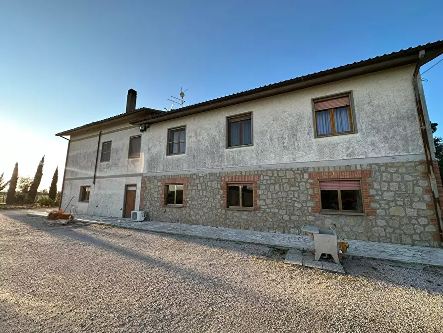 Immagine 6 di Casa colonica in vendita  a Grosseto