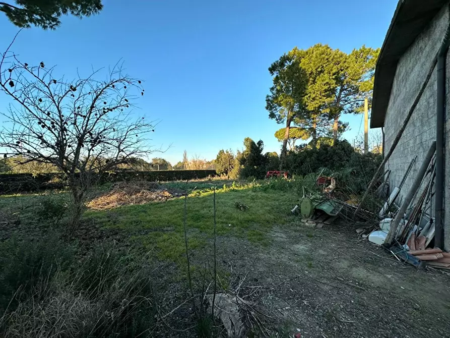 Immagine 8 di Casa colonica in vendita  a Grosseto