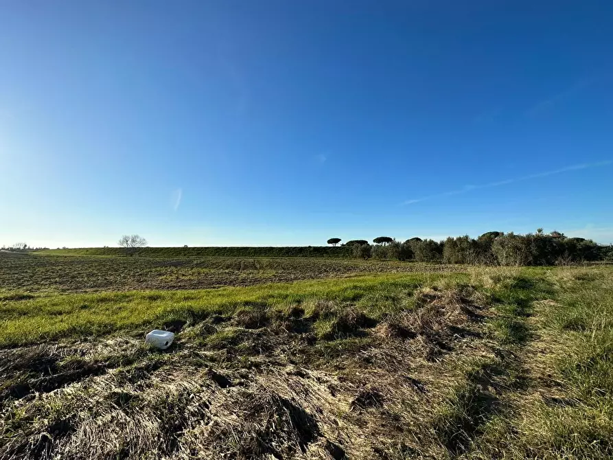 Immagine 11 di Casa colonica in vendita  a Grosseto