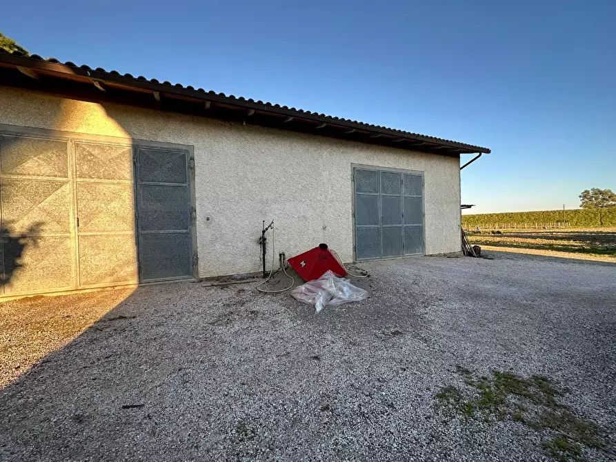 Immagine 5 di Casa colonica in vendita  a Grosseto