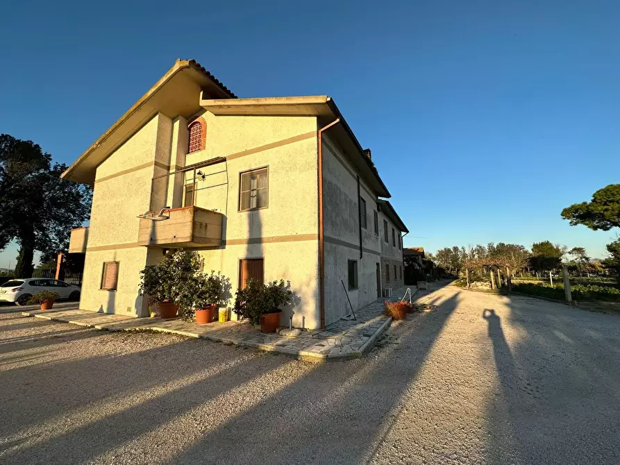 Immagine 3 di Casa colonica in vendita  a Grosseto