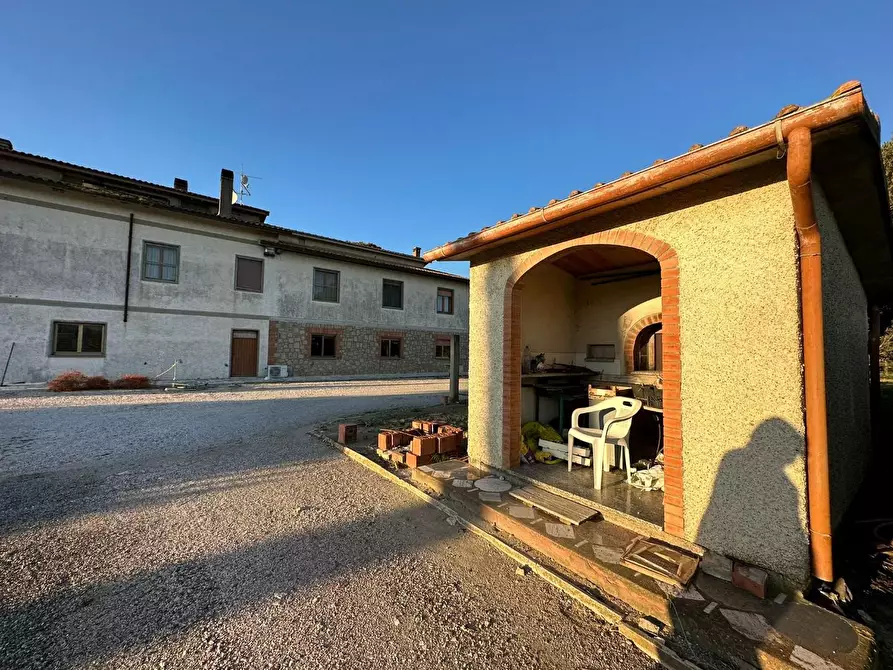 Immagine 7 di Casa colonica in vendita  a Grosseto