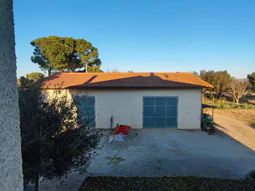 Immagine 14 di Casa colonica in vendita  a Grosseto