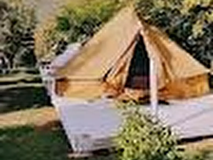 Immagine 4 di Azienda agricola in vendita  a San Giuliano Terme