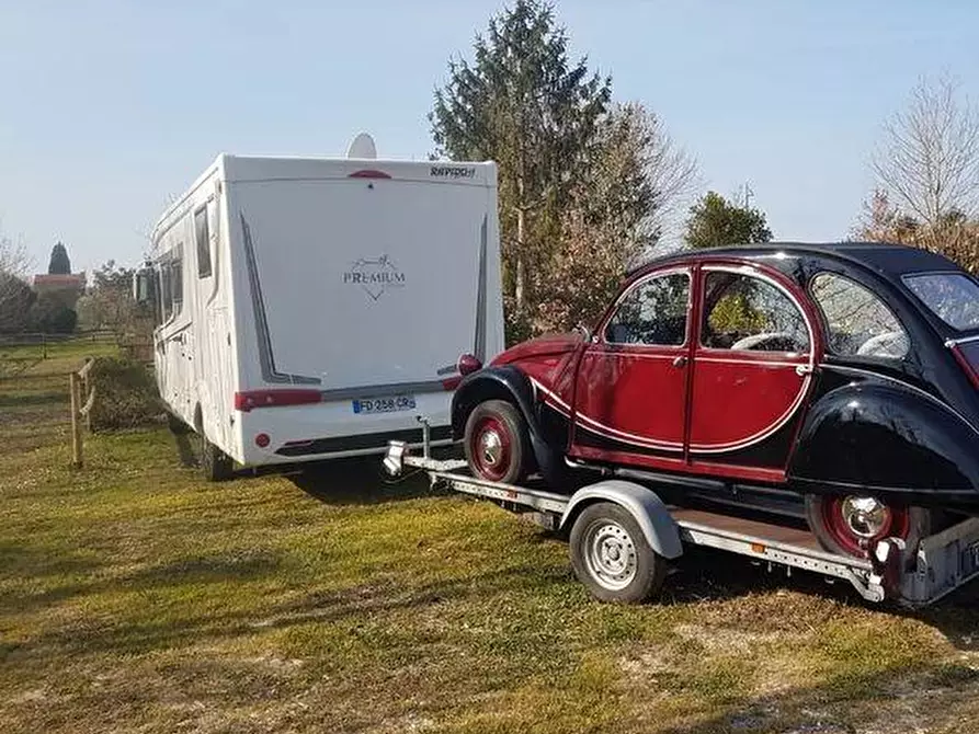 Immagine 19 di Azienda agricola in vendita  a San Giuliano Terme