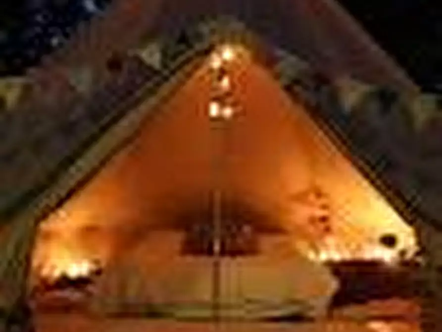 Immagine 2 di Azienda agricola in vendita  a San Giuliano Terme