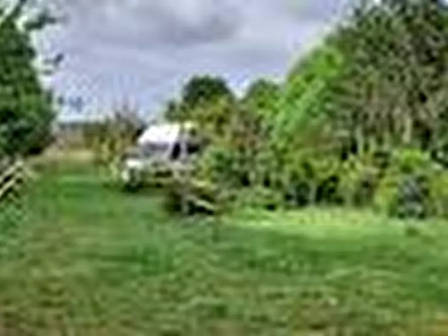 Immagine 7 di Azienda agricola in vendita  a San Giuliano Terme