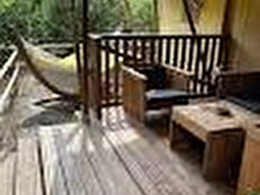 Immagine 5 di Azienda agricola in vendita  a San Giuliano Terme