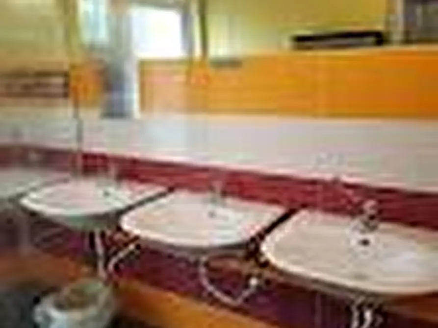 Immagine 15 di Azienda agricola in vendita  a San Giuliano Terme