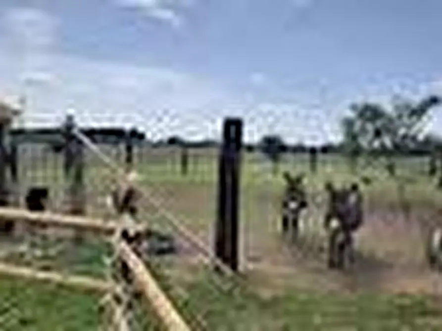 Immagine 9 di Azienda agricola in vendita  a San Giuliano Terme