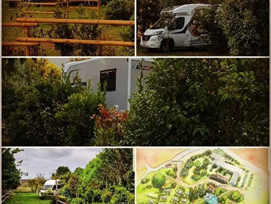 Immagine 18 di Azienda agricola in vendita  a San Giuliano Terme