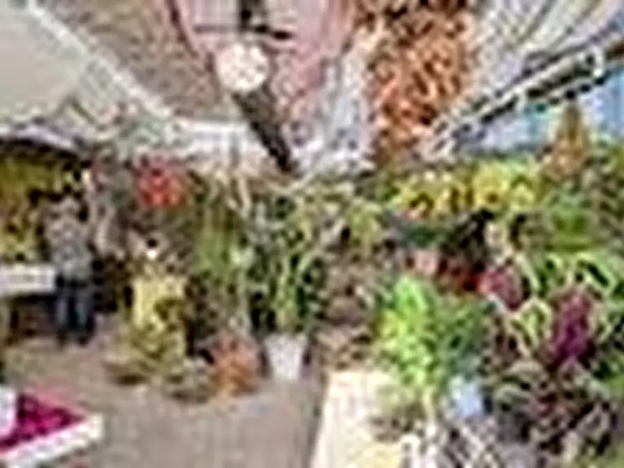 Immagine 13 di Azienda agricola in vendita  a San Giuliano Terme