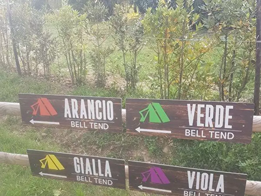 Immagine 22 di Azienda agricola in vendita  a San Giuliano Terme