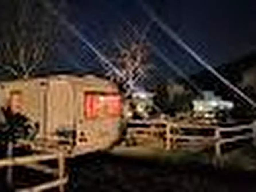 Immagine 12 di Azienda agricola in vendita  a San Giuliano Terme