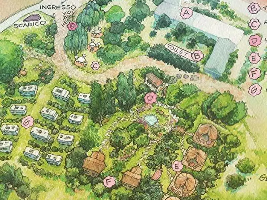 Immagine 20 di Azienda agricola in vendita  a San Giuliano Terme