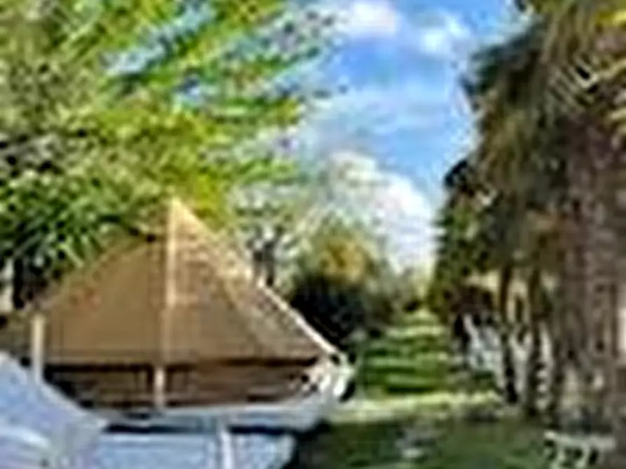 Immagine 3 di Azienda agricola in vendita  a San Giuliano Terme