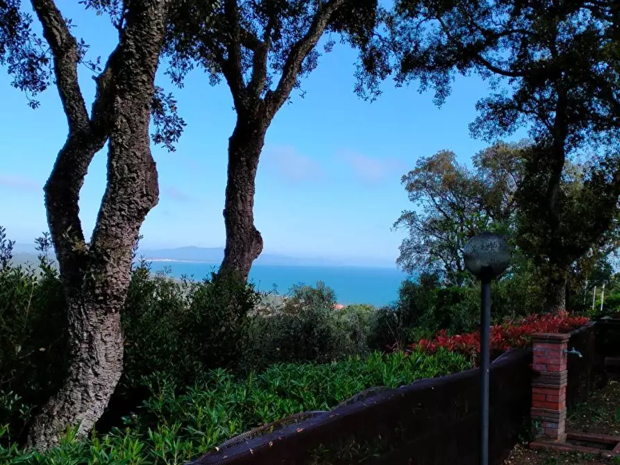 Immagine 4 di Villetta a schiera in vendita  a Castiglione Della Pescaia