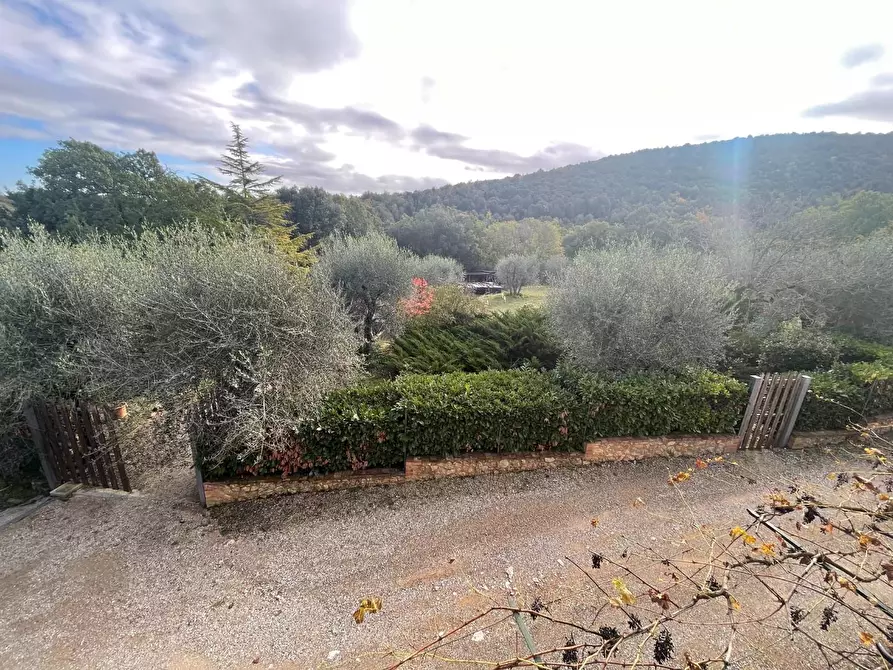 Immagine 17 di Porzione di casa in vendita  a Monteriggioni