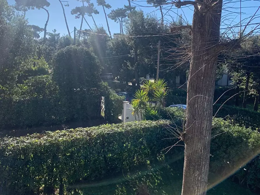 Immagine 23 di Appartamento in affitto  a Forte Dei Marmi