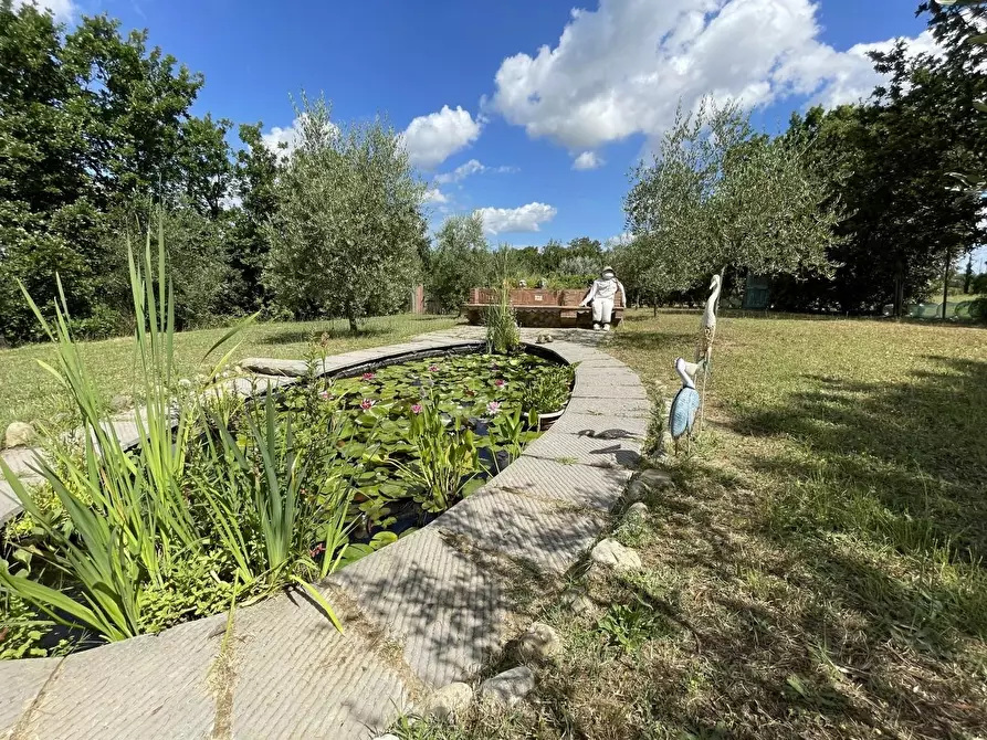 Immagine 26 di Rustico / casale in vendita  a Pisa