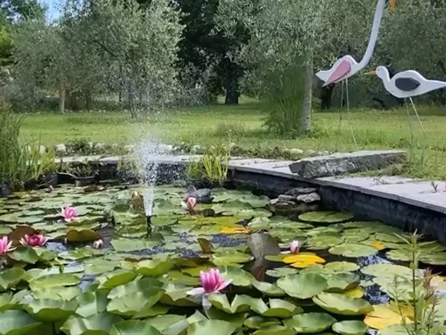 Immagine 28 di Rustico / casale in vendita  a Pisa