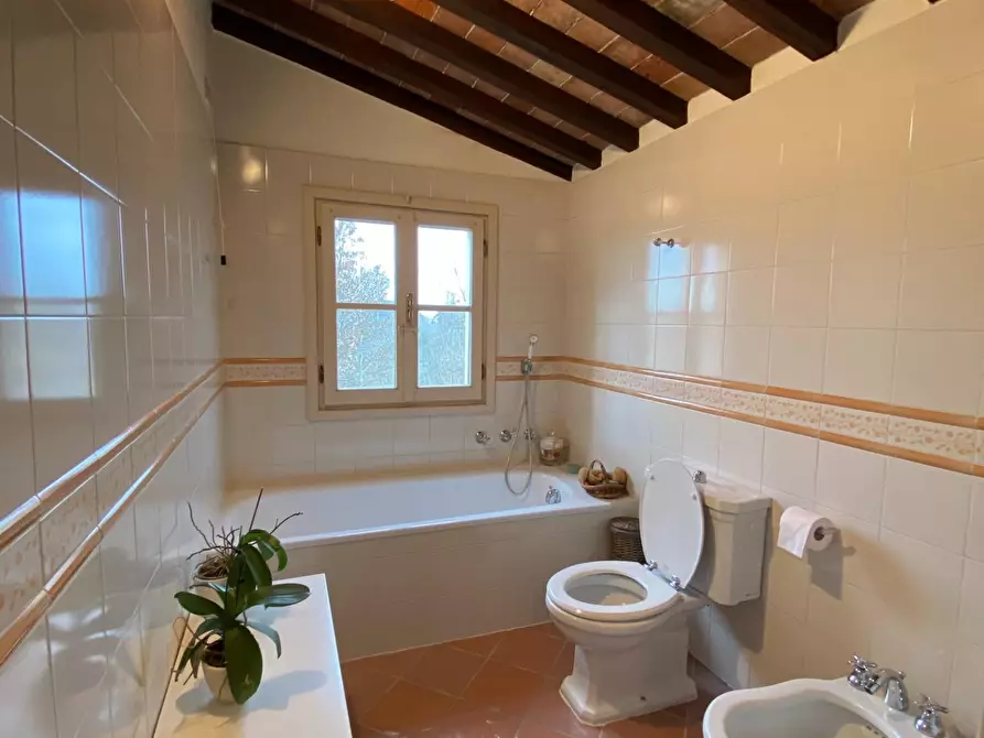 Immagine 31 di Rustico / casale in vendita  a Pisa