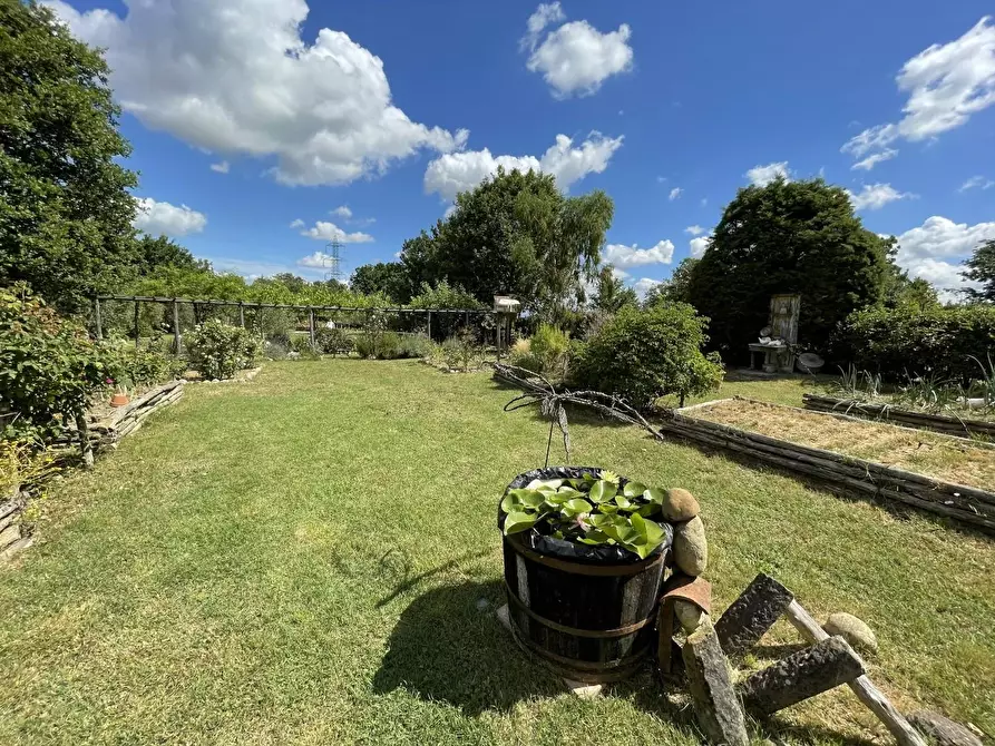 Immagine 29 di Rustico / casale in vendita  a Pisa