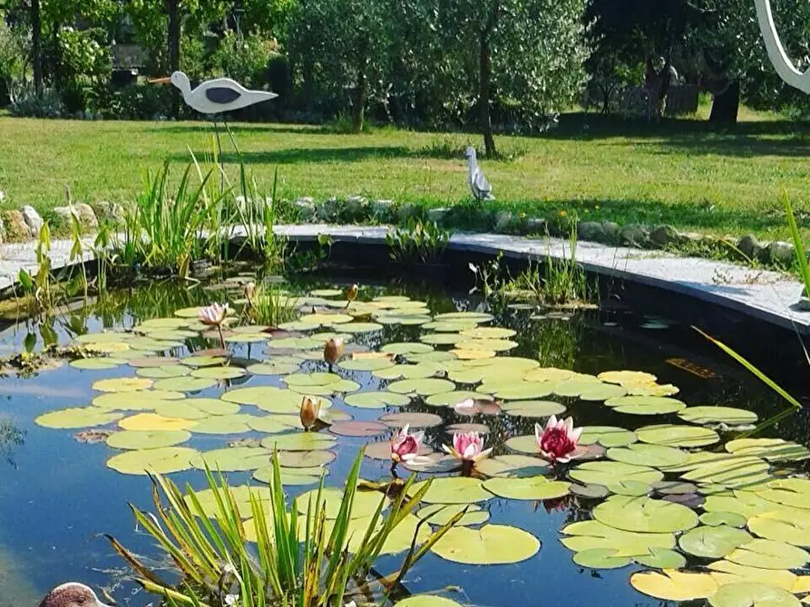 Immagine 27 di Rustico / casale in vendita  a Pisa