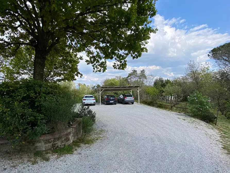 Immagine 30 di Rustico / casale in vendita  a Pisa