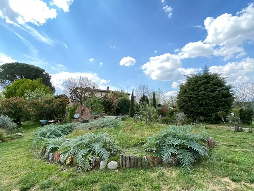 Immagine 15 di Rustico / casale in vendita  a Pisa