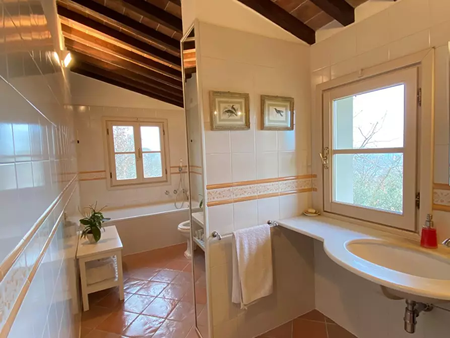 Immagine 10 di Rustico / casale in vendita  a Pisa