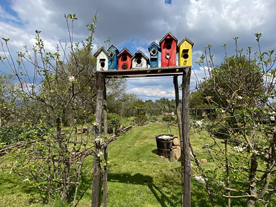 Immagine 18 di Rustico / casale in vendita  a Pisa