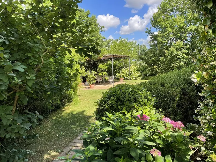 Immagine 22 di Rustico / casale in vendita  a Pisa