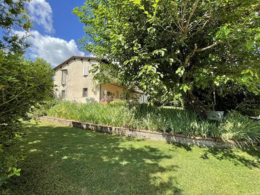 Immagine 43 di Rustico / casale in vendita  a Pisa