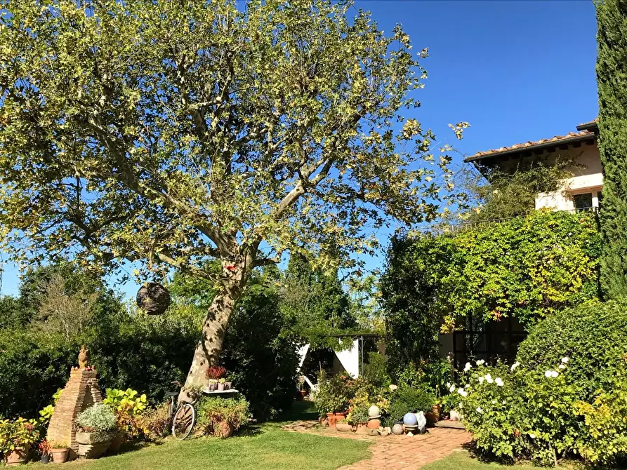 Immagine 21 di Rustico / casale in vendita  a Pisa