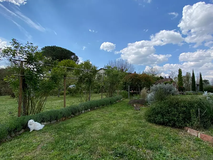 Immagine 14 di Rustico / casale in vendita  a Pisa