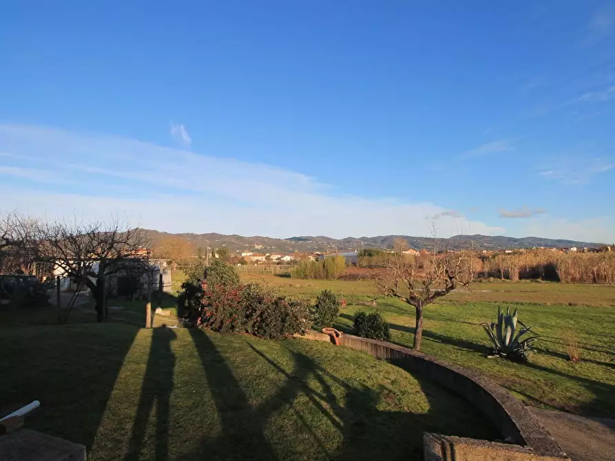 Immagine 5 di Villa in vendita  a Larciano