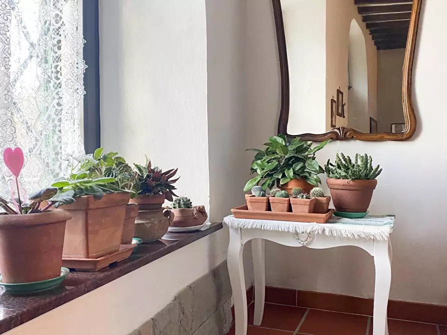 Immagine 6 di Appartamento in vendita  a Vinci