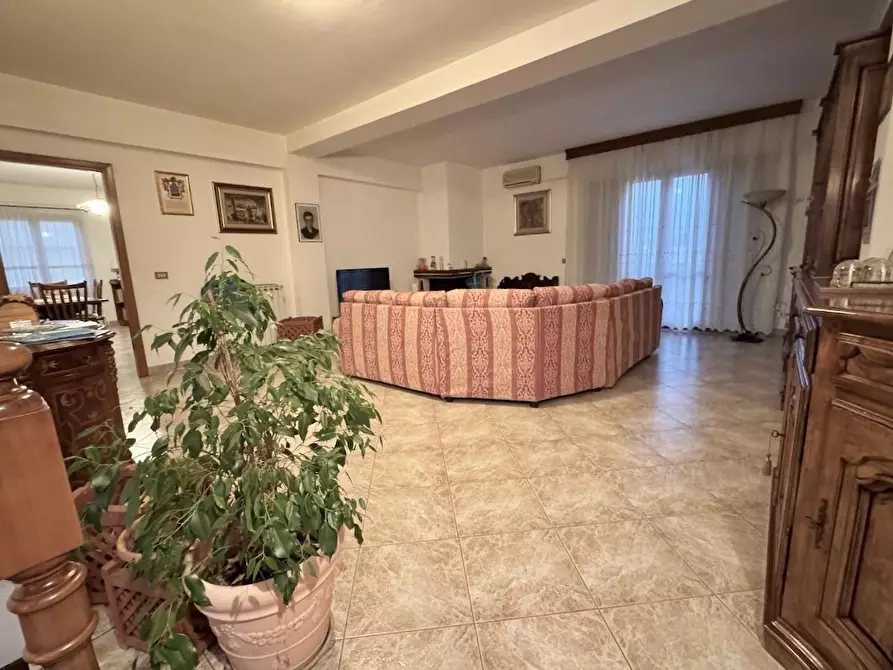 Immagine 11 di Terratetto in vendita  a Pisa