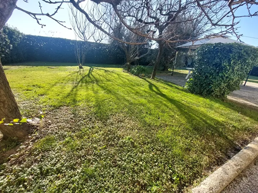 Immagine 25 di Casa indipendente in vendita  a Pisa