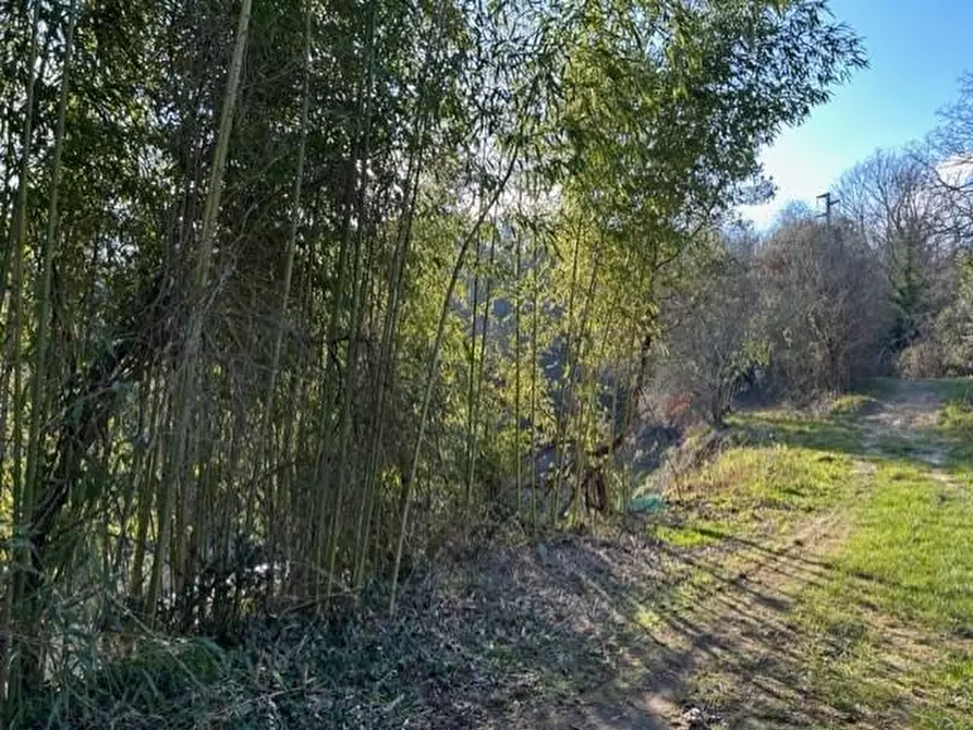 Immagine 22 di Casa colonica in vendita  a Santa Croce Sull'arno