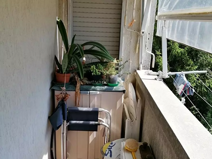 Immagine 13 di Appartamento in vendita  a Carrara