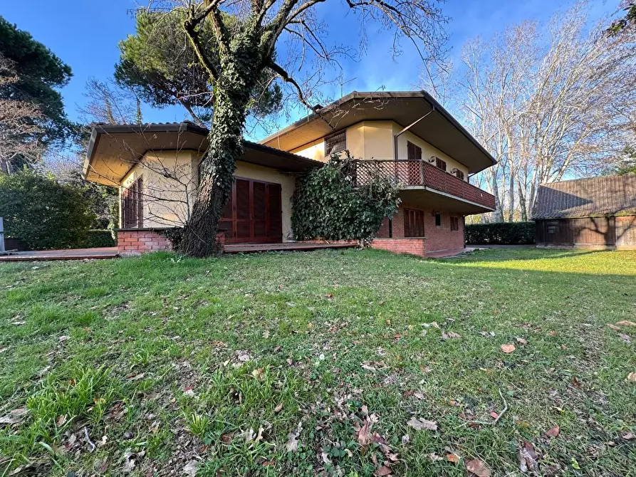 Immagine 2 di Villa in vendita  a Massa