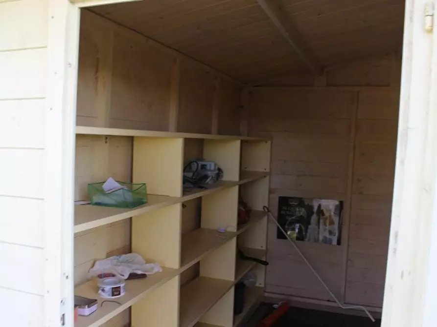 Immagine 4 di Terreno agricolo in vendita  a Bibbona