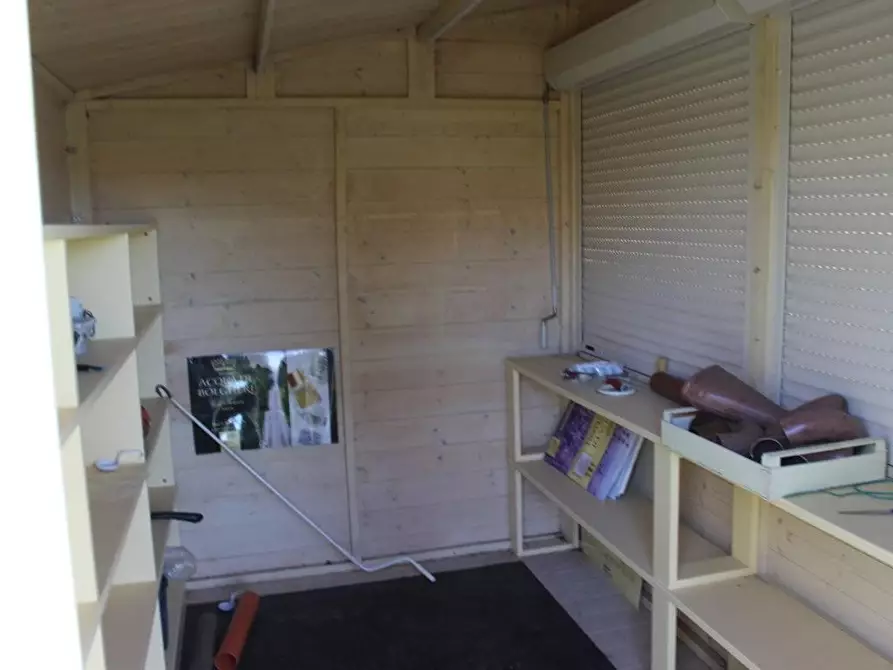 Immagine 3 di Terreno agricolo in vendita  a Bibbona